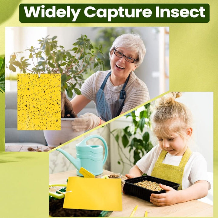 Double Sided Sticky Bug Traps – Varitino